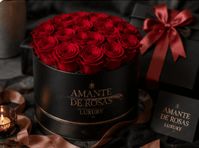 Colección Premium